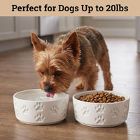 Ceramic Dog Bowl Set of 2 with Anti-Skid Base, 5.5"W x 2"H - Small / White - image 3