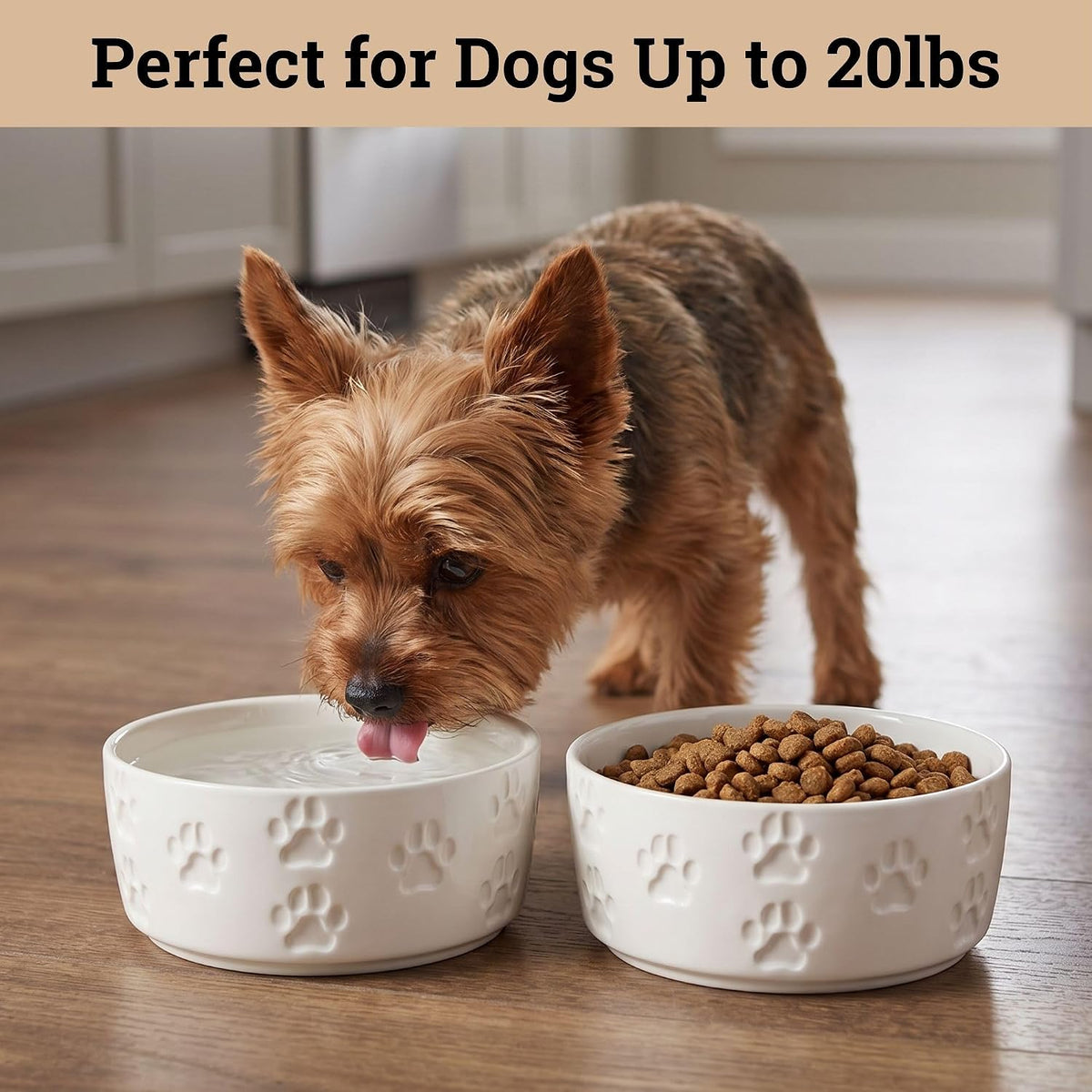 Ceramic Dog Bowl Set of 2 with Anti-Skid Base, 5.5"W x 2"H - Small / White - image 3