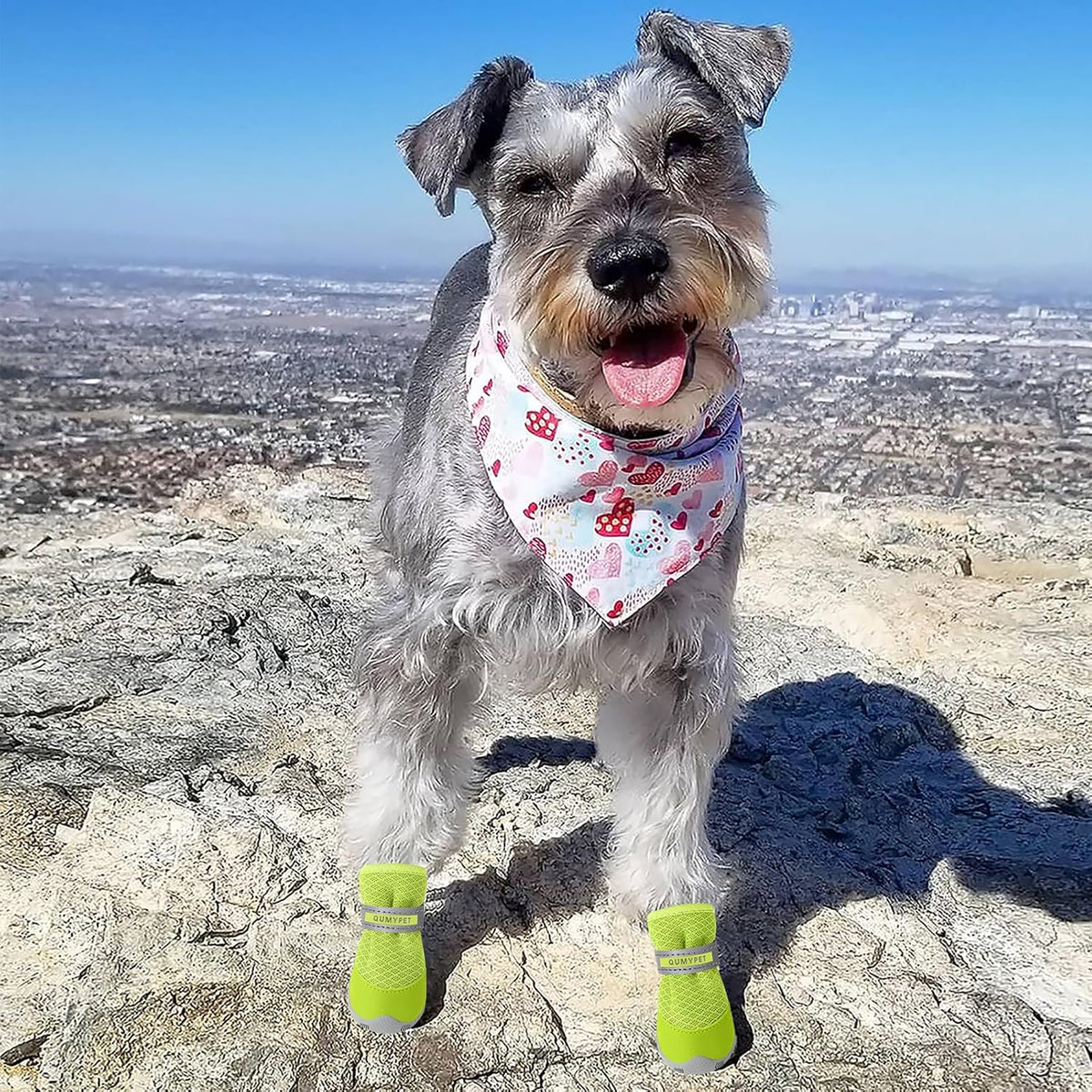 QUMY Dog Shoes for Small Dogs Hot Pavement Puppy Dog Boots & Paw - Fluorescent / size 1: 1.29"x0.98"(L*W) - image 2