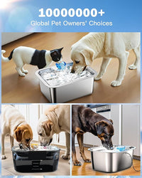 Dog Water Fountain Filters Replacement 4 Packs, 2 Months Set of Replacement Filters for Large Pet Cat Water Fountain Dog Water Bowl Dispenser, Compatible with D2341/D2223/D2322/D2340 Models