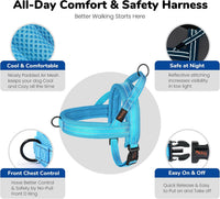 Didog No Pull Dog Harness for Large Dogs, Breathable Mesh Padded - Blue / M: Chest 21-27", Fit 28-50 lbs - image 4