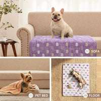 Luciphia 3 Pack Cute Dog Blankets Soft Fleece for Small Puppy Cat - Sweet Kitties / 30x20 inch (Pack of 3) - image 3