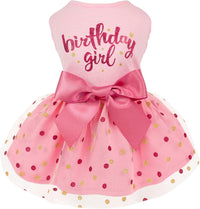 Fitwarm Birthday Girl Dog Tulle Dress - Small / Birthday Girl