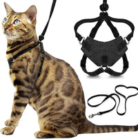 Houdini Escape Proof Cat Harness and Leash – Essentials for Cats - Black / S