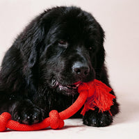 Playology Tug Rope Dog Toys for Large Dogs, Peanut Butter Scent - Mega / Beef - image 3