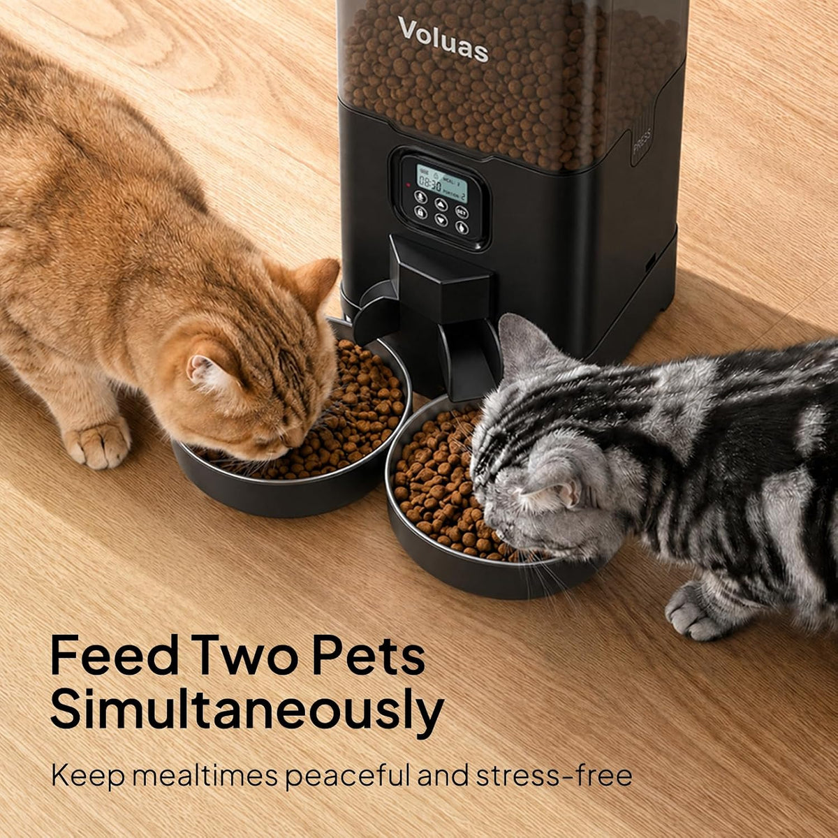 VOLUAS Automatic Cat Feeder for Two Cats with Dual Stainless Bowls - Black Transparent / 6L - image 3