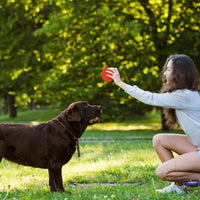 Dog Balls 4.5” Squeaky Dog Toys Spikey Ball for Aggressive Chewers - 3.5 Set of 6 - image 4