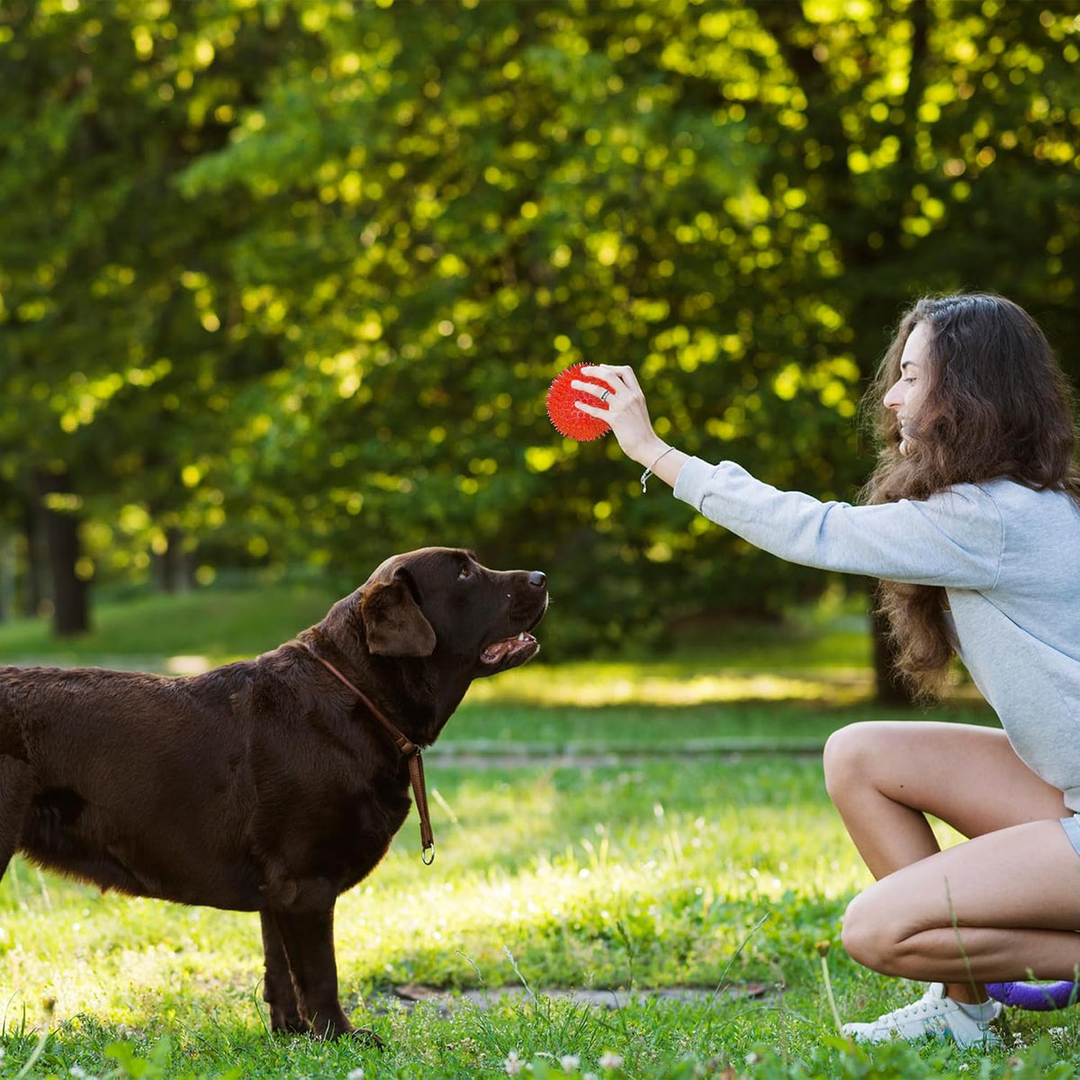 Dog Balls 4.5” Squeaky Dog Toys Spikey Ball for Aggressive Chewers - 3.5 Set of 6 - image 4