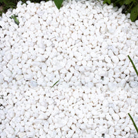 45lb White Rocks for Plants, Potting - 45LB / White