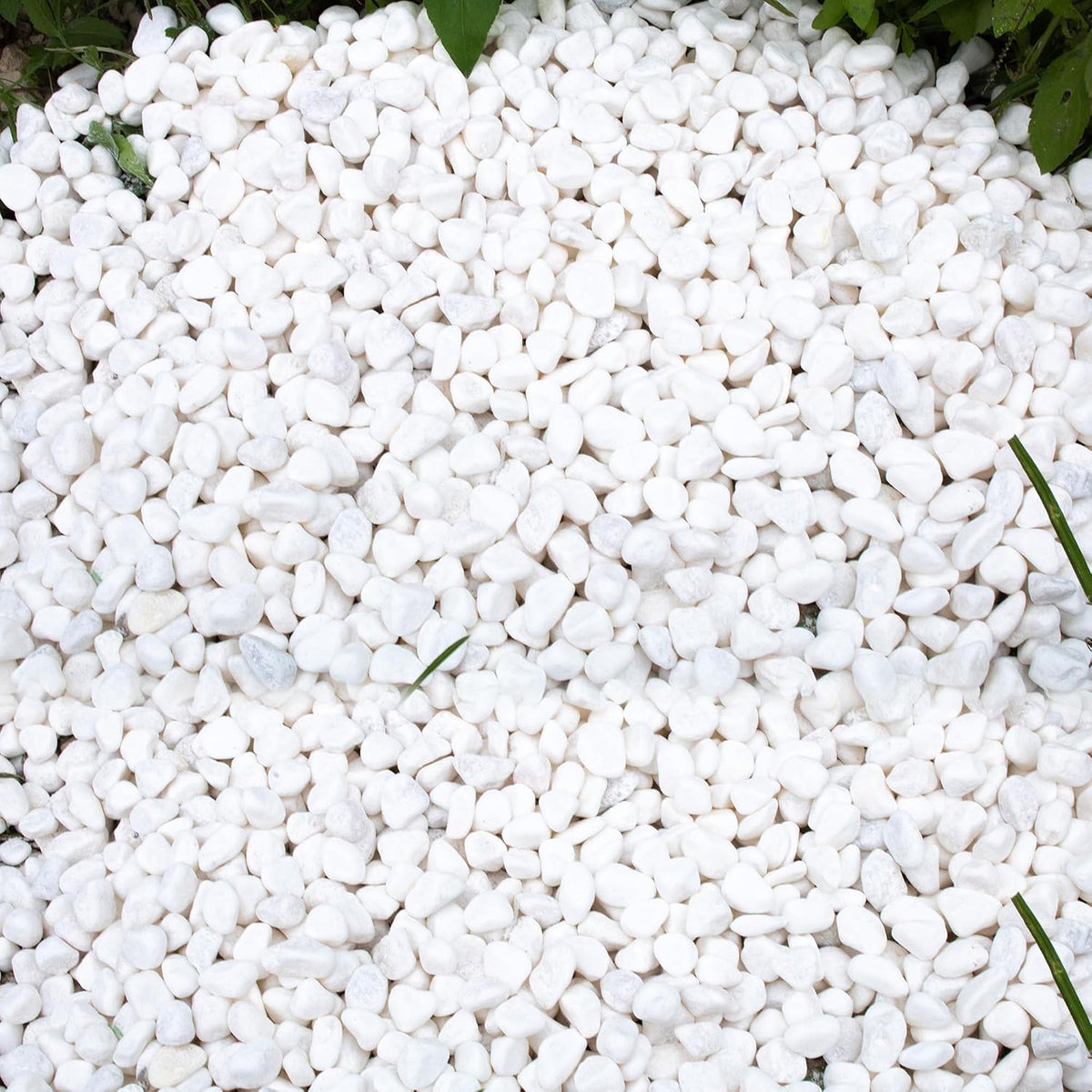 45lb White Rocks for Plants, Potting - 45LB / White