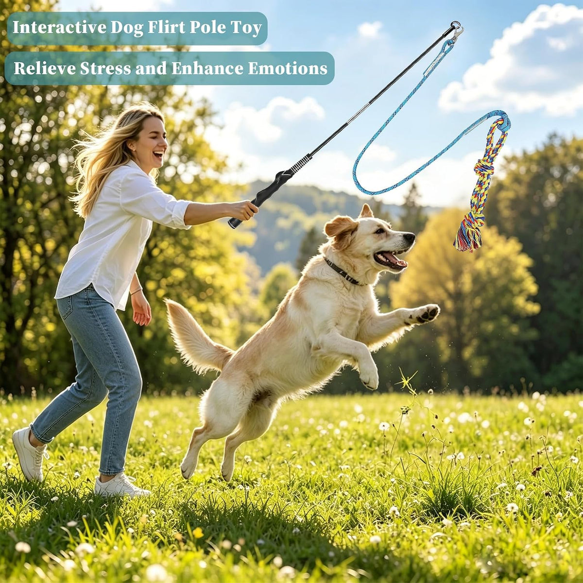 Flirt Pole for Dogs, Interactive Pole for Small Medium Large Dogs – Essentials for Dogs - image 2