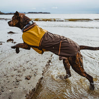 Ruffwear, Sun Shower Dog Raincoat - Earth Brown / X-Large - image 4