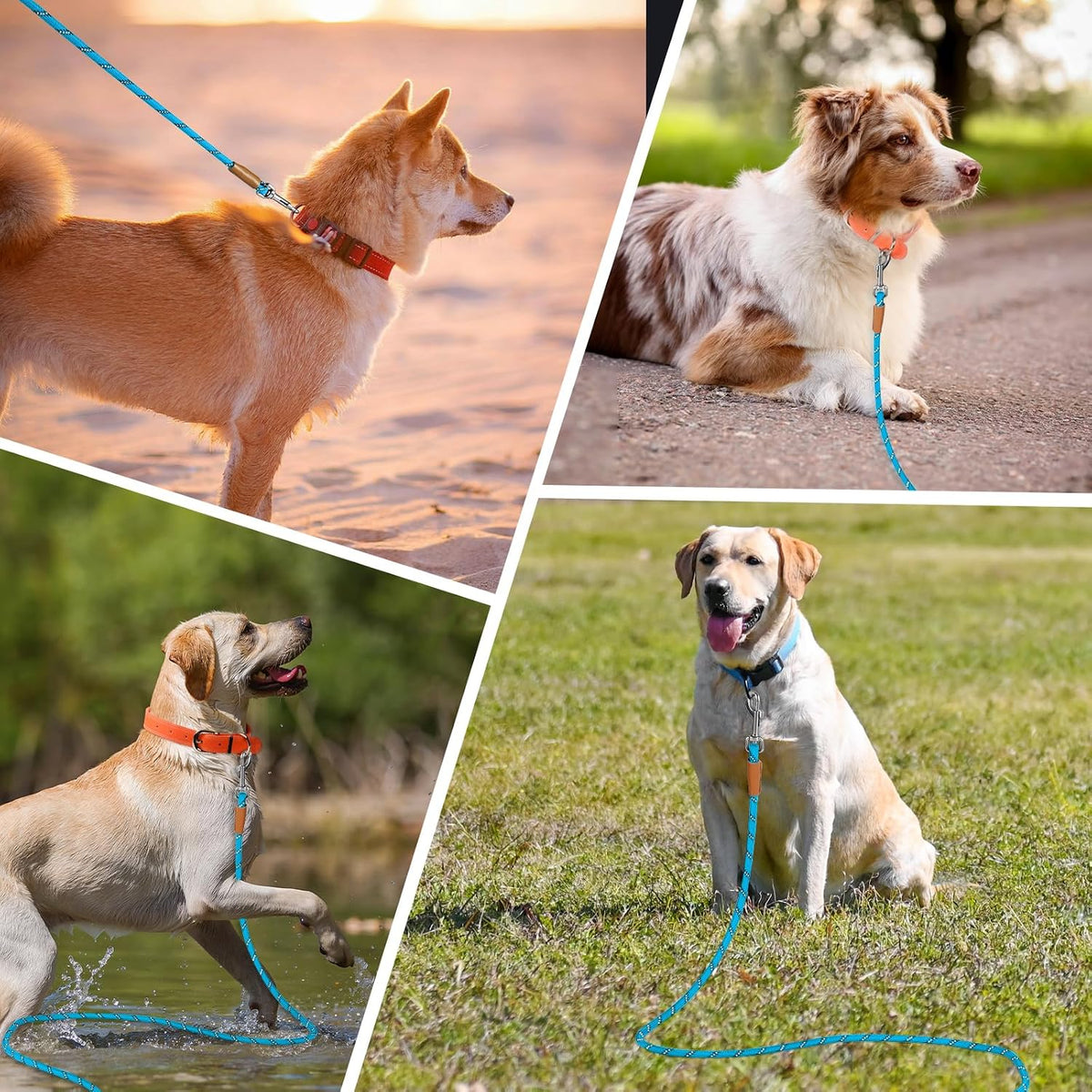 Long Dog Leash Reflective Rope Training Lead 15ft 30ft 50ft Check Cord – Essentials for Dogs - Light Blue / 30ft x 3/8inch - image 4