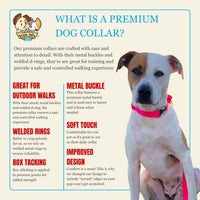 Country Brook Petz - Premium Nylon Dog Collar with Metal Buckle for Small Medium Large Breeds - 30+ - Small (Pack of 1) / Hot Pink - image 4