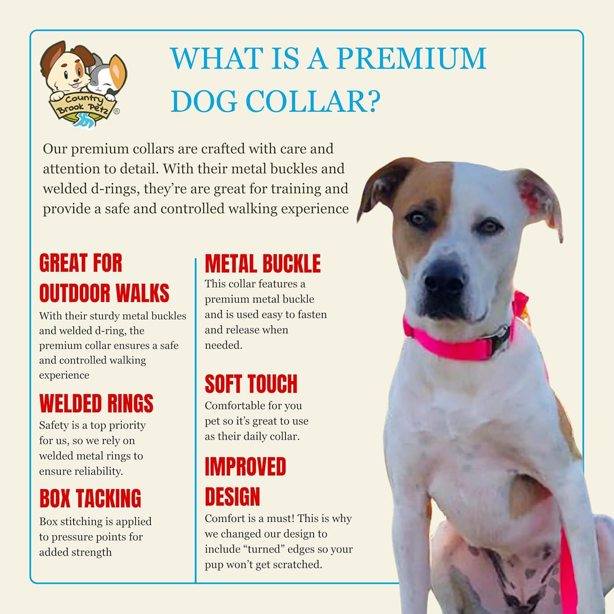 Country Brook Petz - Premium Nylon Dog Collar with Metal Buckle for Small Medium Large Breeds - 30+ - Small (Pack of 1) / Hot Pink - image 4