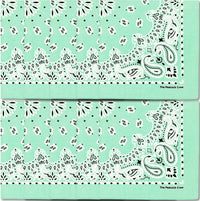 Premium Soft Cotton Bandanas Pack for Men and Women Paisley 22 x 22 - Pack of 10 Turquoise