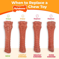 Nylabone Power Chew Original Bone Dog Chew Toys - Chicken / X-Small - image 3