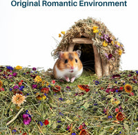 Sukh Hamster Bedding Odor Control - 200 Grams - image 4