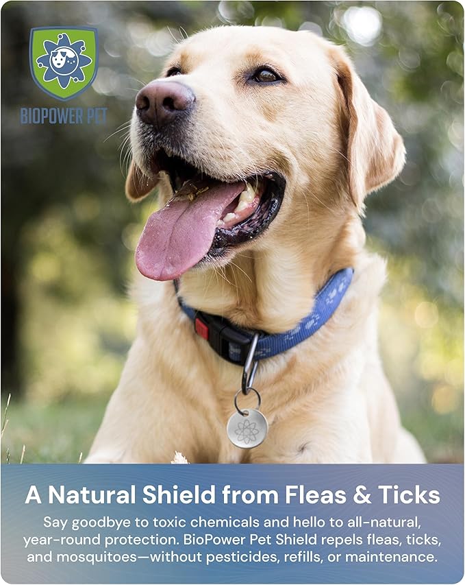 Natural Flea & Tick Repellent Collar Tag for Dogs & Cats – BioPower Pet Shield – Safe for Pets When Used as Directed – Lasts 1 Full Year (Small Tag (<10 Lbs), 2, Count)