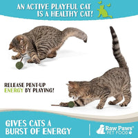 Raw Paws Catnip & Silvervine Lollipops Interactive Cat Toy (6 Pack) - Silvervine Sticks for Cats - Catnip Ball Toy - Fresh Cat Nip - Silver Vine Dental Sticks
