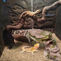 Turtle Basking Platform,Resin Bearded Dragon Basking Platform Reptile Habitat Cave Climbing Ramp - hideout / Yellowish-brown - image 2