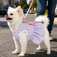 Dog Dress, Cute Pet Princess Dresses with Bright Color Design - Rose PinkBlue / XX-Small - image 2