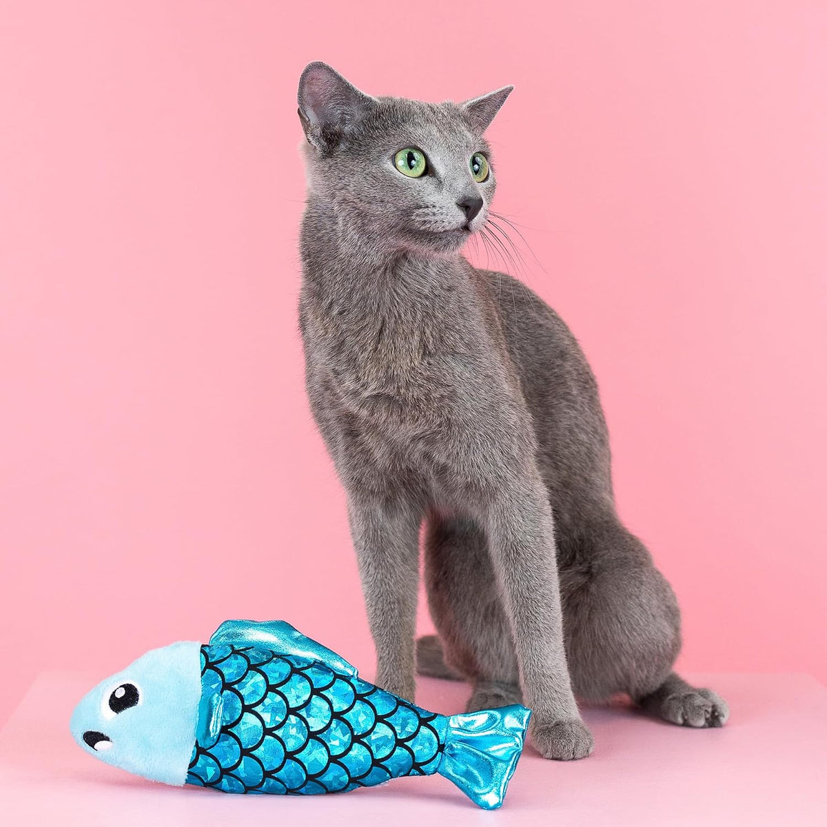 Fringe Studio, Off THE Scales Durable Cotton Canvas Cat Toy - Fishy - image 4