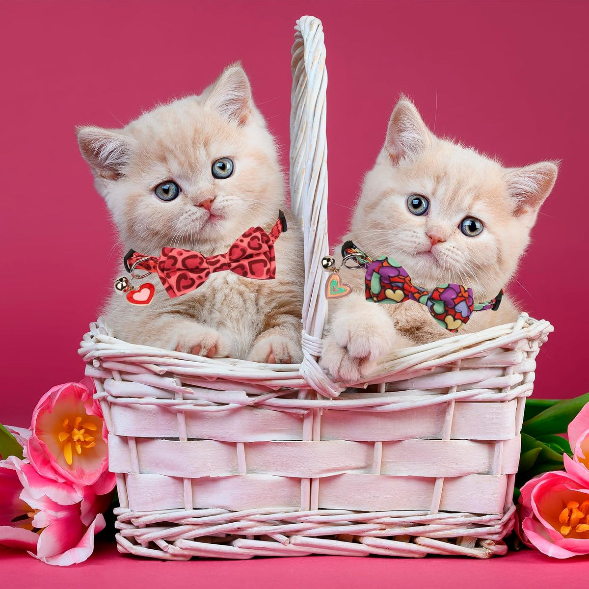 Fall Cat Collar with Bowtie - 7.5"- 10.5" / Valentine - image 3