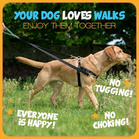 2 Hounds Design Freedom No Pull Dog Harness and Leash, 1" LG - Archie Loves Mud / LG (Chest 28" - 32") - image 3