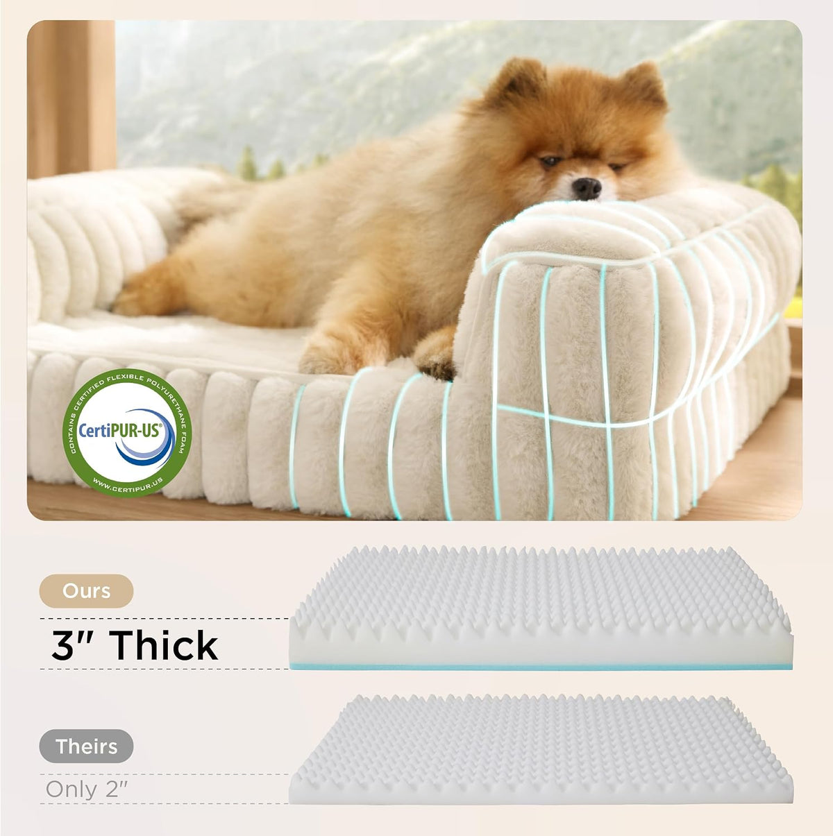 Bedsure ComfyFleece Memory Foam Orthopedic XL Dog Bed Washable 42" – Essentials for Dogs - Cream / 30.0"l X 20.0"w X 6.5"th - image 2