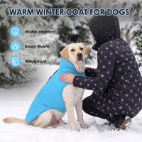 Waterproof Dog Winter Coat - Sky Blue / XL(Chest Girth:23.6-30.7") - image 3