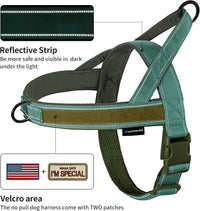 Annchwool No Pull Dog Harness with Soft Padded Handle - M / Reflective-Green Set - image 2