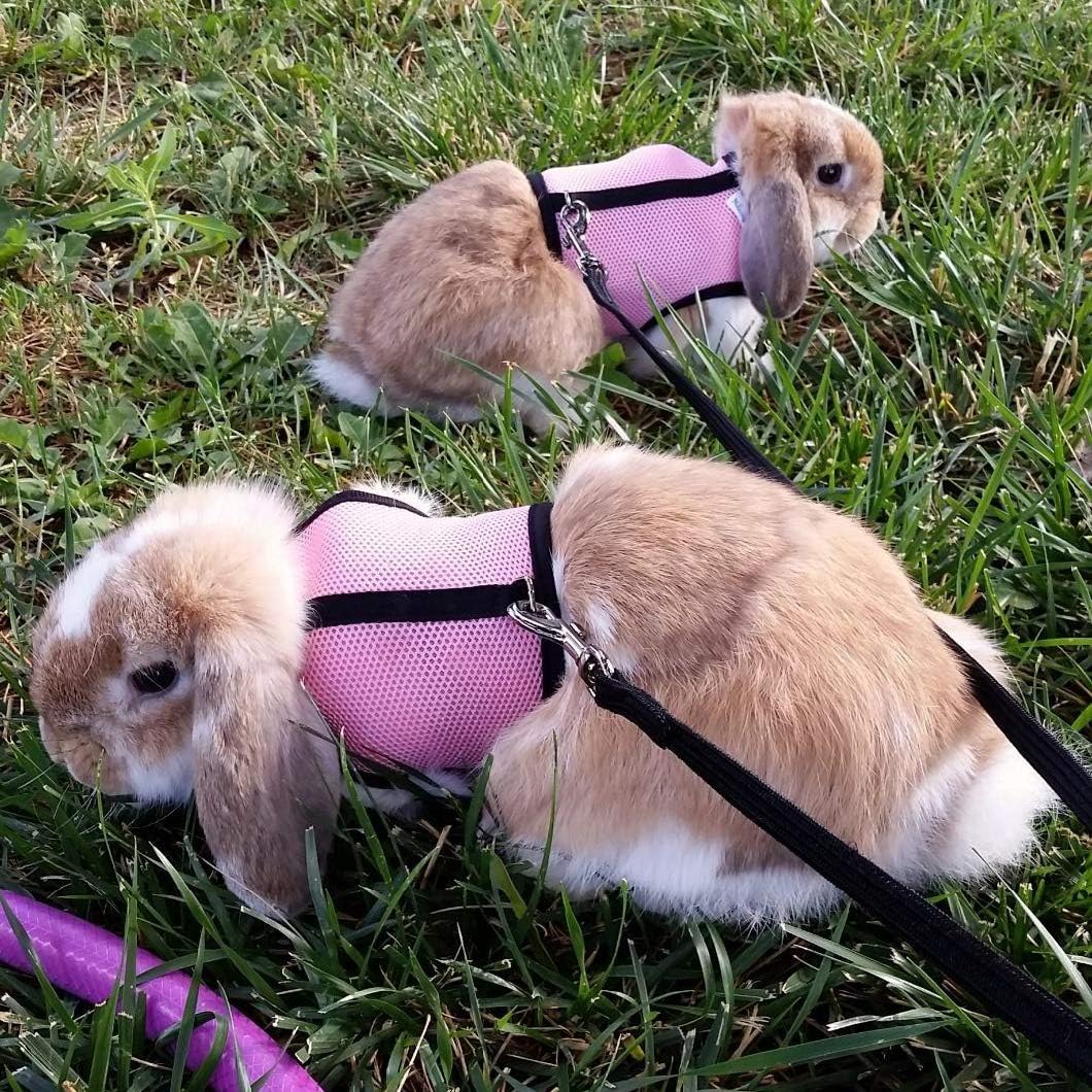 PETTOM Bunny Rabbit Guinea Pig Harness Stretchy Elastic Leash Cute - L(Chest:10.6-13.3 in) / Pink - image 4