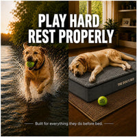 The Dog’s Bed Orthopedic Memory Foam Dog Bed - Grey Plush / Large Beds (6" deep) - image 2