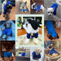 Soft Dog Hoodies for Small Dogs - Dark Blue / X-Small - image 4