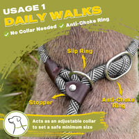 Fida Durable Slip Lead Dog Leash - Small (3/8" x 6 ft) / Grey - image 4