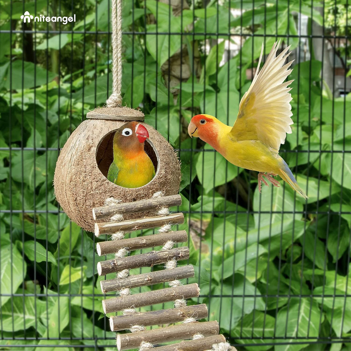 Niteangel Natural Coconut Hamster Hideaway with Ladder - House with Ladder / Natural Surface - image 3