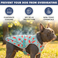 Spark Paws Dog Cooling Vest, Evaporative Summer Cooling - Watermelon / Large - image 2