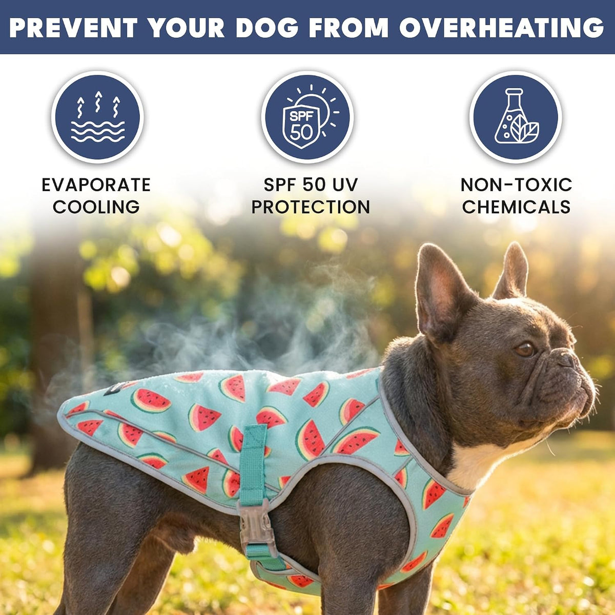 Spark Paws Dog Cooling Vest, Evaporative Summer Cooling - Watermelon / Large - image 2