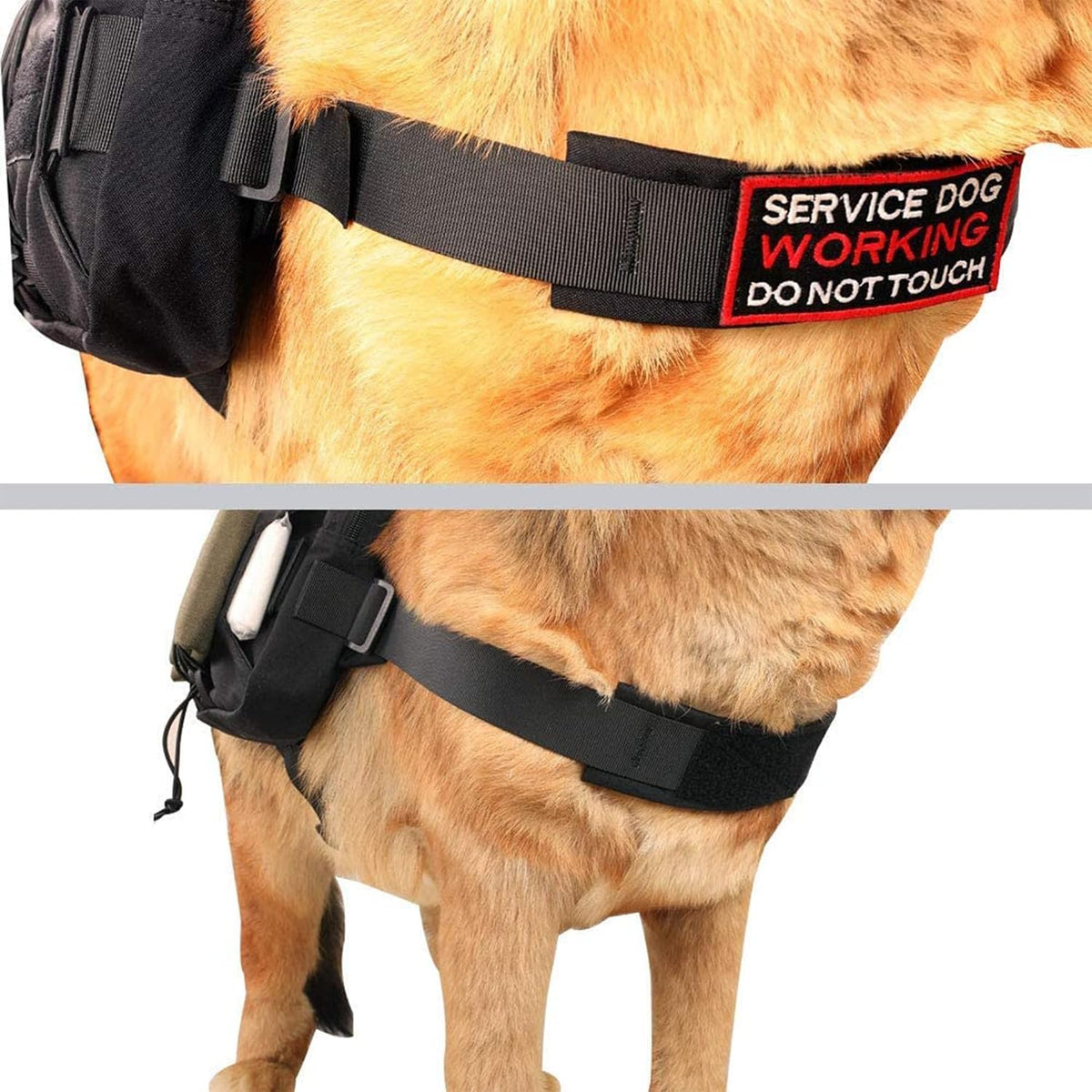 EXCELLENT ELITE SPANKER Nylon Dog Backpack with 2 Side Pockets - Black / M-Chest 25.6-30" - image 4