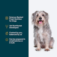 JustFoodForDogs DIY Nutrient Blend for Homemade Dog Food, Fish & Sweet Potato Recipe, 5.92oz