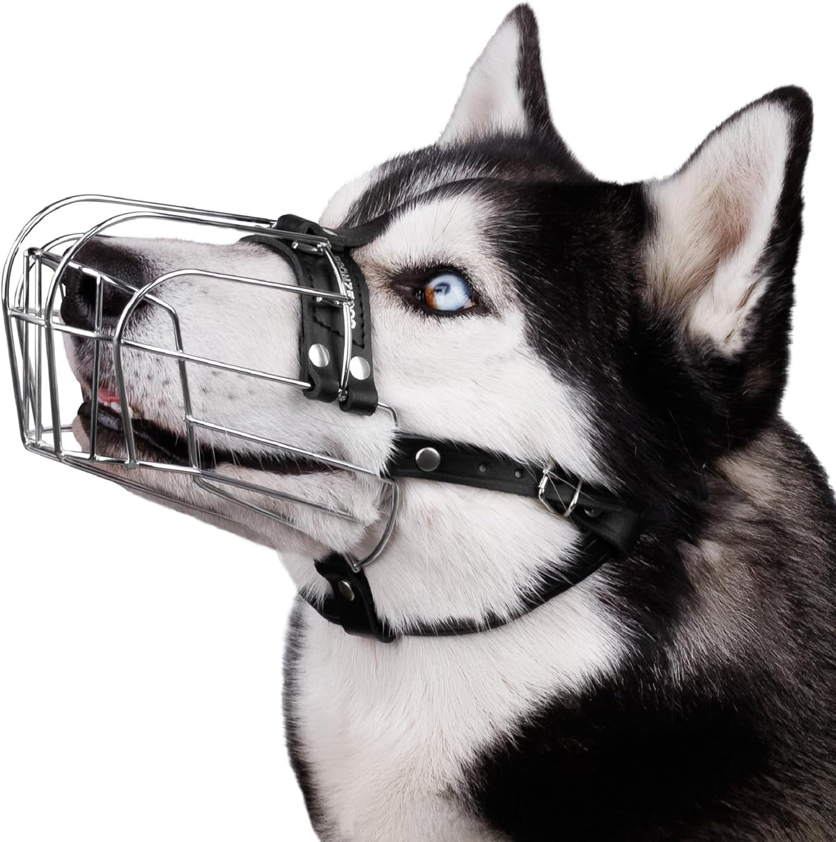Stainless Steel Wire Basket Dog Muzzle for Husky – Essentials for Dogs - Stainless Steel / Husky