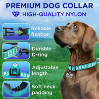Reflective Neoprene Padded Dog Collar with Quick Release Buckle – Essentials for Dogs - Teal - ESA / X-Large - image 3
