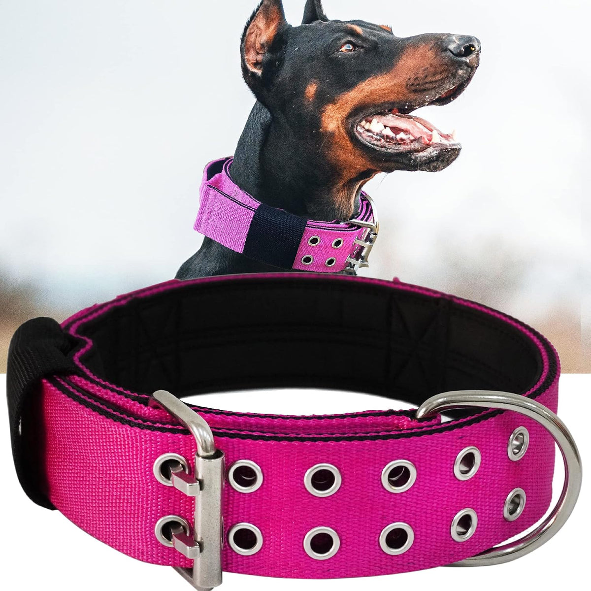 Dog Collar for Large Dogs, with Handle 2" Wide Heavy Duty - Pink / M