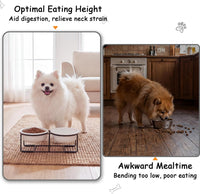 Ceramic Elevated Dog Bowls with Stand - Matte White / S × 2 - image 3