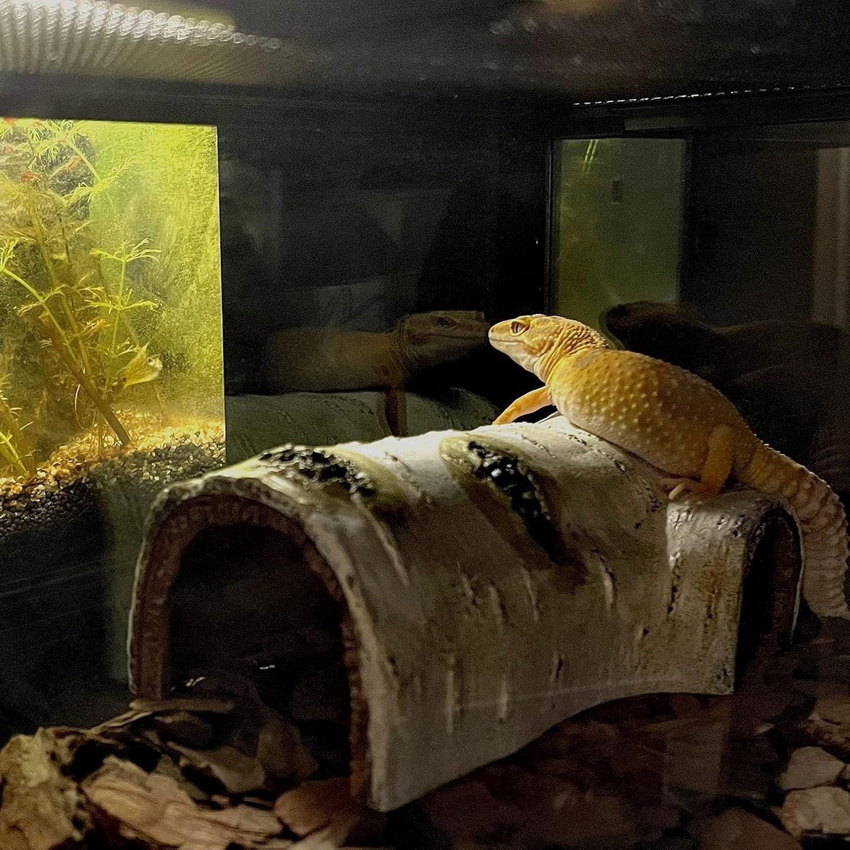 Reptile Hides and Caves Birch Tree Bark Trunk Habitats Decor Aquarium - Small - image 4