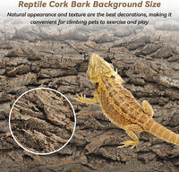 PINVNBY Reptile Terrarium Cork Background - 【Natural Cork Bark 】 / 【2 PCS】 - image 4