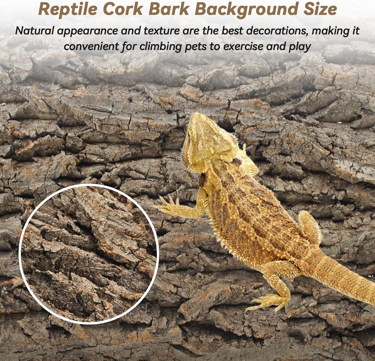 PINVNBY Reptile Terrarium Cork Background - 【Natural Cork Bark 】 / 【2 PCS】 - image 4