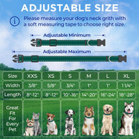 Reflective Neoprene Padded Dog Collar with Quick Release Buckle – Essentials for Dogs - Dark Emerald Green / Small - image 2