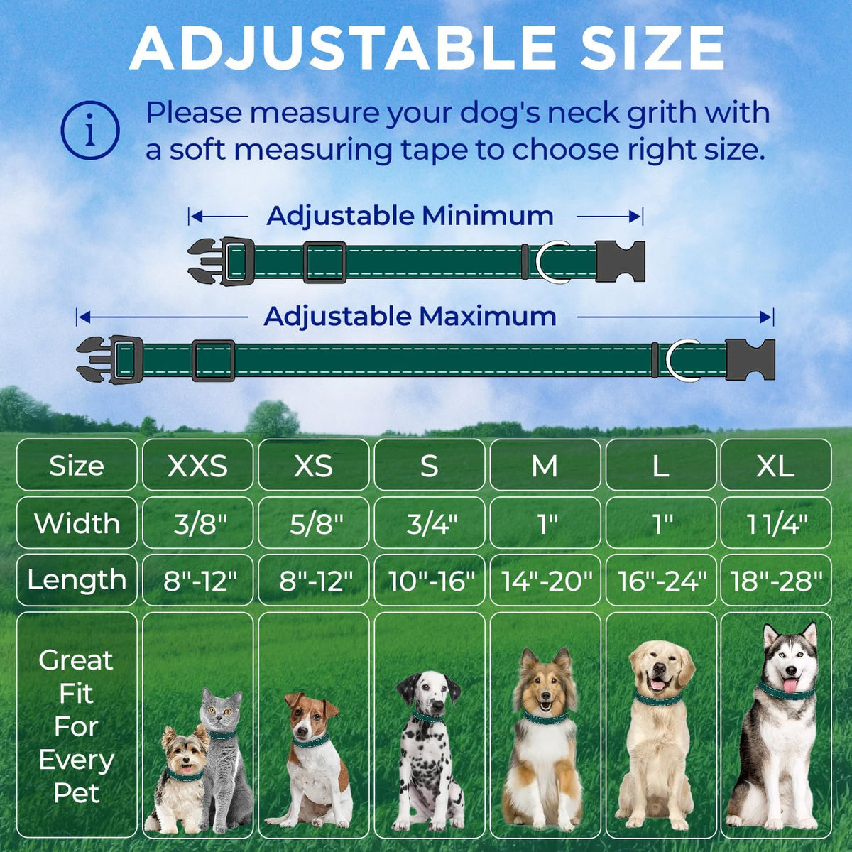 Reflective Neoprene Padded Dog Collar with Quick Release Buckle – Essentials for Dogs - Dark Emerald Green / Small - image 2
